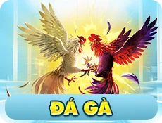 đá gà