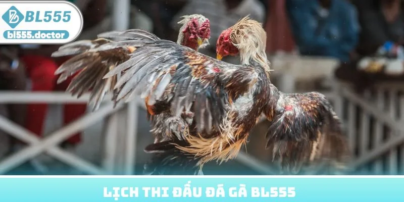 Lịch thi đấu quý 2 năm 2026 với các cặp tiêu biểu